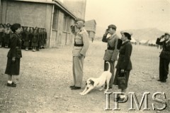 1943, Teheran, Iran.
Gen. Władysław Anders odbiera raport od kierowniczki PSK (Pomocniczej Służby Kobiet) Rojanowej.
Fot. NN, Instytut Polski i Muzeum im. gen. Sikorskiego w Londynie