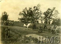 Maj-czerwiec 1919, Bukowina.
Dywizjon Jazdy w przemarszu do Polski przez Bukowinę. Sztab podczas postoju, w środku stoją: major Konstanty Plisowski i adiutant ppor. Witold Czaykowski.
Fot. NN, Instytut Polski i Muzeum im. gen. Sikorskiego w Londynie