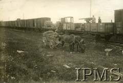 1919, Iwanie Puste, Zachodnia Ukraina.
Wojenne trofea - pociąg zdobyty na Ukraińcach.
Fot. NN, Instytut Polski i Muzeum im. gen. Sikorskiego w Londynie