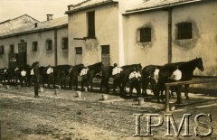 Lata 20., Lwów, Polska.
Czyszczenie koni 3-go szwadronu.
Fot. NN, Instytut Polski i Muzeum im. gen. Sikorskiego w Londynie