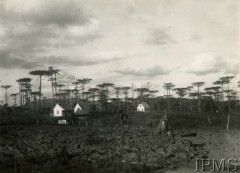 1935-1937, Morska Wola, Parana, Brazylia.
Pierwsze budynki polskiej kolonii. Budynek na prawo z oknem w szczycie to pierwsza siedziba administracji. Budynek z lewej to mieszkanie inżyniera-miernika oraz biuro techniczne.
Fot. NN, Instytut Polski i Muzeum im. gen. Sikorskiego w Londynie [Koperta 