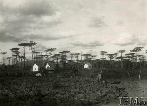 1935-1937, Morska Wola, Parana, Brazylia.
Pierwsze budynki polskiej kolonii. Budynek na prawo z oknem w szczycie to pierwsza siedziba administracji. Budynek z lewej to mieszkanie inżyniera-miernika oraz biuro techniczne.
Fot. NN, Instytut Polski i Muzeum im. gen. Sikorskiego w Londynie [Koperta 