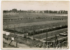 Kwiecień 1941, Elsterhorst, III Rzesza Niemiecka.
Oflag IV-D Elsterhorst - uprawy.
Fot. NN, Instytut Polski i Muzeum im. gen. Sikorskiego w Londynie