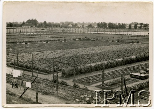 Kwiecień 1941, Elsterhorst, III Rzesza Niemiecka.
Oflag IV-D Elsterhorst - uprawy.
Fot. NN, Instytut Polski i Muzeum im. gen. Sikorskiego w Londynie