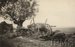 Wrzesień 1939, Polska.
Kampania wrześniowa, wkroczenie oddziałów niemieckich do Polski. Rozbite wozy uciekinierów na drodze, na pierwszym planie martwy koń. Fotografia wykonana przez nieznanego żołnierza Wehrmachtu.
Fot. NN, Instytut Polski im. Gen. Sikorskiego w Londynie [teczka nr 140a]