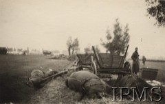 Wrzesień 1939, Polska.
Kampania wrześniowa, wkroczenie oddziałów niemieckich do Polski. Niemiecki żołnierz ogląda rozbity wóz i martwe konie leżące na drodze. Fotografia wykonana przez nieznanego żołnierza Wehrmachtu.
Fot. NN, Instytut Polski im. Gen. Sikorskiego w Londynie [teczka nr 140a]