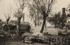 Wrzesień 1939, Polska.
Kampania wrześniowa, wkroczenie oddziałów niemieckich do Polski. Rozbity wóz uciekinierów stojący na drodze, na pierwszym planie martwe konie. Fotografia wykonana przez nieznanego żołnierza Wehrmachtu.
Fot. NN, Instytut Polski im. Gen. Sikorskiego w Londynie [teczka nr 140a]