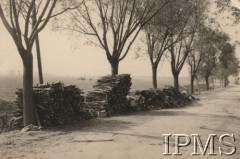 Wrzesień 1939, Polska.
Kampania wrześniowa, wkroczenie oddziałów niemieckich do Polski. Broń zebrana z pola walki - karabiny leżące na stertach przy drodze. Fotografia wykonana przez nieznanego żołnierza Wehrmachtu.
Fot. NN, Instytut Polski im. Gen. Sikorskiego w Londynie [teczka nr 140a]