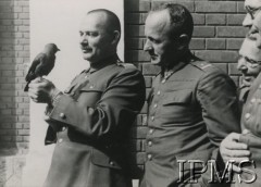 1940, Targoviste, Rumunia. 
Obóz dla internowanych żołnierzy Wojska Polskiego, oficerowie oglądają ptaka, który usiadł na ręku jednego z nich. 
Fot. NN, Instytut Polski im. Gen. Sikorskiego w Londynie

