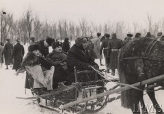 11.12.1941, Buzułuk, obł. Czkałowsk, ZSRR.
Formowanie Armii Polskiej w Związku Radzieckim. W saniach siedzą: gen. Władysław Sikorski i gen. Władysław Anders.
Fot. NN, Instytut Polski i Muzeum im. gen. Sikorskiego w Londynie [teczka nr 44a]