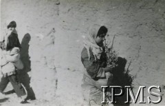 4.04.1943, Kurdystan, Iran.
Dziewczynki mieszkające we wsi między Hamadan i Kermanshah. 
Fot. NN, Instytut Polski i Muzeum im. gen. Sikorskiego w Londynie, przekazał płk dypl. W. Bąkiewicz [album 34 - AP na Wschodzie, 1 DP im. T. Kościuszki].