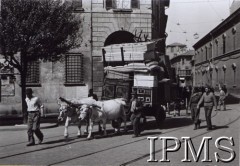 1945, Bolonia, Włochy.
2 Korpus Polski w wyzwolonym mieście.
Fot. NN, Instytut Polski i Muzeum im. gen. Sikorskiego w Londynie [pudło - różne]