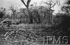 1942, Masindi, Uganda.
Osiedle dla polskich uchodźców, budowa domu.
Fot. NN, Instytut Polski i Muzeum im. gen. Sikorskiego w Londynie [album 212 - Osiedla polskie w Afryce Wschodniej].
