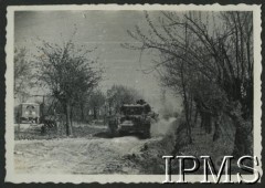 1944-1945, Włochy.
Kampania włoska, czołgi 2 Korpusu Polskiego na piaszczystej drodze.
Fot. NN, Instytut Polski i Muzeum im. gen. Sikorskiego w Londynie [album 11 - 3 Batalion Strzelców Karpackich, sygn. A XI 32 6].