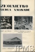 1943-1947, Valivade-Kolhapur, Indie.
Osiedle dla polskich uchodźców. Siedziba Gimnazjum i Liceum Ogólnokształcącego im. Marii Curie-Skłodowskiej oraz zajęcia lekcyjne. 
Fot. NN, Kronika osiedla polskiego Valivade-Kolhapur, Indie, tom I, Instytut Polski i Muzeum im. gen. Sikorskiego w Londynie