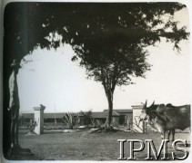 1943-1947, Valivade-Kolhapur, Indie.
Osiedle dla polskich uchodźców, brama wjazdowa.
Fot. NN, Kronika osiedla polskiego Valivade-Kolhapur, Indie, tom I, Instytut Polski i Muzeum im. gen. Sikorskiego w Londynie