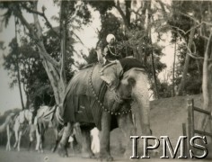 1943-1947, Kolhapur, Indie.
Hindusi na ulicach Kolhapur, miasta w południowo-wschodniej części Półwyspu Indyjskiego. Na jego przedmieściach powstało osiedle Valivade dla polskich uchodźców. 
Fot. NN, Kronika osiedla polskiego Valivade-Kolhapur, Indie, tom I, Instytut Polski i Muzeum im. gen. Sikorskiego w Londynie