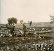 1944, Valivade-Kolhapur, Indie.
Osiedle dla polskich uchodźców. Uczennice Szkoły Instruktorek Gospodarstwa Wiejskiego podczas zajęć na szkolnych poletkach.
Fot. NN, Kronika osiedla polskiego Valivade-Kolhapur, Indie, tom I, Instytut Polski i Muzeum im. gen. Sikorskiego w Londynie