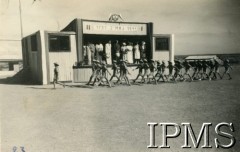 3.05.1944, Karachi, Indie.
Obóz przejściowy dla polskich uchodźców. Obchody rocznicy uchwalenia Konstytucji 3 Maja. Uroczysta defilada harcerzy.
Fot. NN, Kronika osiedla polskiego Valivade-Kolhapur, Indie, tom III, Instytut Polski i Muzeum im. gen. Sikorskiego w Londynie