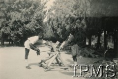 1943-1946, Digglefold, Rodezja Południowa. 
Ośrodek szkolny dla polskich uchodźców w południowej Afryce. Dwaj tubylcy piłują drzewo. 
Fot. NN, kolekcja: Osiedla polskie w Afryce, Instytut Polski i Muzeum im. gen. Sikorskiego w Londynie