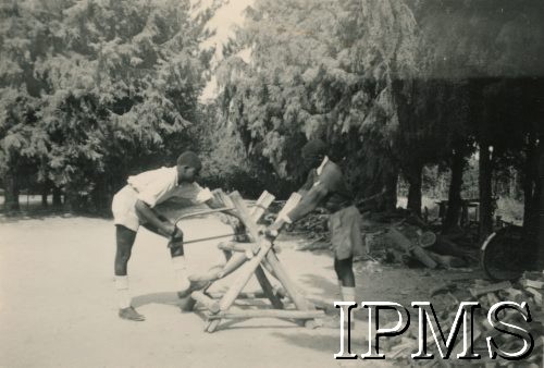 1943-1946, Digglefold, Rodezja Południowa. 
Ośrodek szkolny dla polskich uchodźców w południowej Afryce. Dwaj tubylcy piłują drzewo. 
Fot. NN, kolekcja: Osiedla polskie w Afryce, Instytut Polski i Muzeum im. gen. Sikorskiego w Londynie