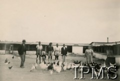 1943-1946, Digglefold, Rodezja Południowa. 
Ośrodek szkolny dla polskich uchodźców w południowej Afryce. Pracownicy gospodarstwa szkolnego przy ptactwie domowym. 
Fot. NN, kolekcja: Osiedla polskie w Afryce, Instytut Polski i Muzeum im. gen. Sikorskiego w Londynie