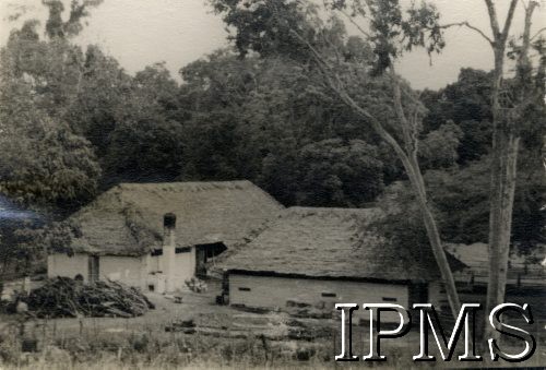 1942-1950, Tengeru, Tanganika.
Osiedle dla polskich uchodźców. Budynki dojarni Farmy Rolnej.
Fot. NN, kolekcja: Osiedla polskie w Afryce, Instytut Polski i Muzeum im. gen. Sikorskiego w Londynie