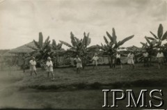 1942-1946, Masindi, Uganda.
Osiedle dla polskich uchodźców. Uczniowie klasy VI a Szkoły Powszechnej nr 3 koszą trawę.
Fot. NN, kolekcja: Osiedla polskie w Afryce, Instytut Polski i Muzeum im. gen. Sikorskiego w Londynie