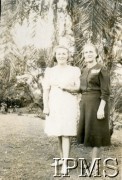 1942-1946, Masindi, Uganda.
Osiedle dla polskich uchodźców. Kobiety na terenie osiedla, pod palmami.
Fot. NN, kolekcja: Osiedla polskie w Afryce, Instytut Polski i Muzeum im. gen. Sikorskiego w Londynie