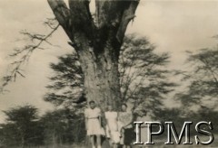 1942-1946, Masindi, Uganda.
Osiedle dla polskich uchodźców. Kobiety pod drzewem.
Fot. NN, kolekcja: Osiedla polskie w Afryce, Instytut Polski i Muzeum im. gen. Sikorskiego w Londynie