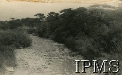 Lata 40., Uganda.
Widok na jezioro. 
Fot. NN, kolekcja: Osiedla polskie w Afryce, Instytut Polski i Muzeum im. gen. Sikorskiego w Londynie