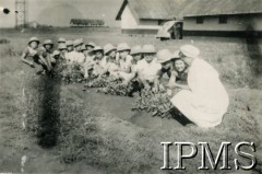 Lipiec 1945, Rongai, Kenia. 
Osiedle dla polskich uchodźców. Dzieci przy pracy w ogródku. 
Fot. NN, kolekcja: Osiedla polskie w Afryce, Instytut Polski i Muzeum im. gen. Sikorskiego w Londynie