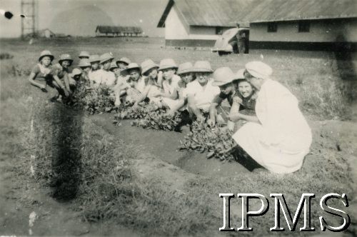 Lipiec 1945, Rongai, Kenia. 
Osiedle dla polskich uchodźców. Dzieci przy pracy w ogródku. 
Fot. NN, kolekcja: Osiedla polskie w Afryce, Instytut Polski i Muzeum im. gen. Sikorskiego w Londynie