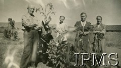 1945, Rongai, Kenia. 
Osiedle dla polskich uchodźców. Państwo Niedopytalscy przy roślinach, 1. z prawej stoi M. Kułakowska.
Fot. NN, kolekcja: Osiedla polskie w Afryce, Instytut Polski i Muzeum im. gen. Sikorskiego w Londynie