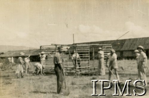 1946, Rongai, Kenia. 
Osiedle dla polskich uchodźców. Uczniowie VII klasy podczas pracy w ogrodzie.
Fot. NN, kolekcja: Osiedla polskie w Afryce, Instytut Polski i Muzeum im. gen. Sikorskiego w Londynie