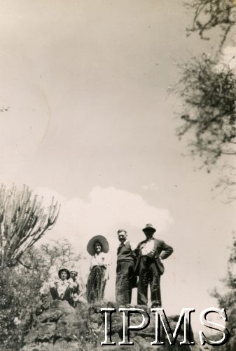 1945-1947, Rongai (okolice), Kenia. 
Grupa osób z osiedla dla polskich uchodźców w Rongai podczas wycieczki, wśród kwitnących mimoz.
Fot. NN, kolekcja: Osiedla polskie w Afryce, Instytut Polski i Muzeum im. gen. Sikorskiego w Londynie