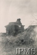 1945-1947, Kenia. 
Zdjęcie wykonane podczas wycieczki mieszkańców osiedla dla polskich uchodźców w Rongai.
Fot. NN, kolekcja: Osiedla polskie w Afryce, Instytut Polski i Muzeum im. gen. Sikorskiego w Londynie