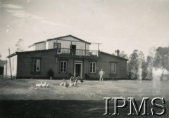 1946-1947, Eldoret, Kenia. 
Ferma Maksa Bielawskiego.
Fot. NN, kolekcja: Osiedla polskie w Afryce, Instytut Polski i Muzeum im. gen. Sikorskiego w Londynie