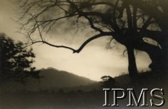 1944-1946, Morogoro (okolice), Tanganika (obecnie Tanzania).
Krajobraz w okolicy osiedla dla polskich uchodźców.
Fot. NN, kolekcja: Osiedla polskie w Afryce, Instytut Polski i Muzeum im. gen. Sikorskiego w Londynie