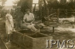 1943-1946, Rusape, Rodezja Południowa.
Osiedle dla polskich uchodźców. Ubój świni na farmie.
Fot. NN, kolekcja: Osiedla polskie w Afryce, Instytut Polski i Muzeum im. gen. Sikorskiego w Londynie