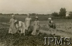 Styczeń 1945, Rusape, Rodezja Południowa.
Osiedle dla polskich uchodźców. Kobiety podczas pracy na polu uprawnym.
Fot. NN, kolekcja: Osiedla polskie w Afryce, Instytut Polski i Muzeum im. gen. Sikorskiego w Londynie