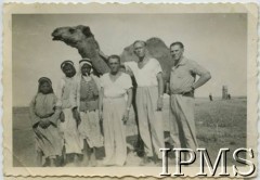 1943, Gaza, Palestyna.
Polscy żołnierze - rekonwalescenci przebywający w szpitalu. Fotografia pamiątkowa z miejscowymi dziećmi i wielbłądem.
Fot. NN, Instytut Polski i Muzeum im. gen. Sikorskiego w Londynie [teczka - Armia Polska na Wschodzie, 2 Korpus Polski].