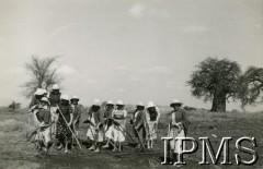 Lata 40., Uganda.
Polscy uchodźcy pracują w polu.
Fot. NN, Instytut Polski i Muzeum im. gen. Sikorskiego w Londynie