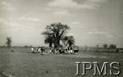 Lata 40., Uganda.
Polscy uchodźcy pracują w polu.
Fot. NN, Instytut Polski i Muzeum im. gen. Sikorskiego w Londynie