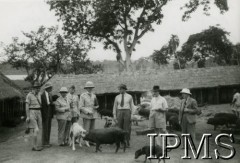 Lata 40., Koja, Uganda.
Zwiedzanie farmy w osiedlu dla polskich uchodźców. Od lewej stoją inspektor szkolny p. Znatowicz, konsul RP J. Chmielewski, ksiądz Pankus (?), ksiądz Godlewski, ksiądz prawosławny Regoszek (?), konsul brytyjski p. Frennes, zastępca kierownika osiedla Koja kapitan Modzelewski, sekretarz konsulatu pan Maruszczak
Fot. Mikołaj Szyszkowski (przedstawiciel delegata Ministerstwa Pracy i Opieki Społecznej w Ugandzie - Kampala), Instytut Polski i Muzeum im. gen. Sikorskiego w Londynie