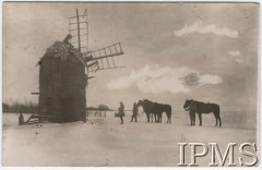 Ok 1920, brak miejsca.
Ułani 1 Pułku Ułanów Krechowieckich koło wiatraka.
Fot. NN, Instytut Polski im. Gen. Sikorskiego w Londynie [Album nr inw. 415 - 1 pułku ułanów Krechowieckich]