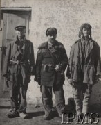 1941, Kermine, Uzbekistan, ZSRR.
Formowanie Armii Polskiej na Wschodzie - polscy żołnierze uwolnieni z łagrów przybyli w łachmanach na miejsce organizacji 7 Dywizji Piechoty.
Fot. NN, Instytut Polski im. Gen. Sikorskiego w Londynie [Album 7 Dywizji Piechoty]