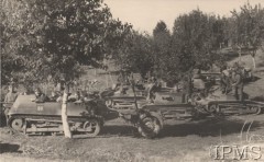 Wrzesień 1938, Wołyń, Polska.
Na pierwszym planie działo samobieżne TKS-D z przyczepką amunicyjną, za nim działo samobieżne TKD.
Fot. NN, Instytut Polski i Muzeum im. gen. Sikorskiego w Londynie [album fotograficzny Dywizjonu Rozpoznawczego 10 BKZ - część II]