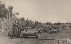 Wrzesień 1938, Wołyń, Polska.
Polskie tankietki jadące drogą.
Fot. NN, Instytut Polski i Muzeum im. gen. Sikorskiego w Londynie [album fotograficzny Dywizjonu Rozpoznawczego 10 BKZ - część II]