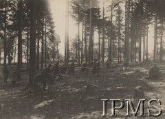 1915, Bielgowo - Lisowo, Wołyń
Z walk 1 kompanii 2 pułku piechoty Legionów pod Bielgowem i Lisowem - żołnierze idący tyralierą przez las.
Fot. por. Stanisław Siczek – dowódca kompanii CKM, Instytut Polski im. Gen. Sikorskiego w Londynie [ALBUM LEGIONÓW nr 20003 – 2 pułku piechoty Legionów Polskich]